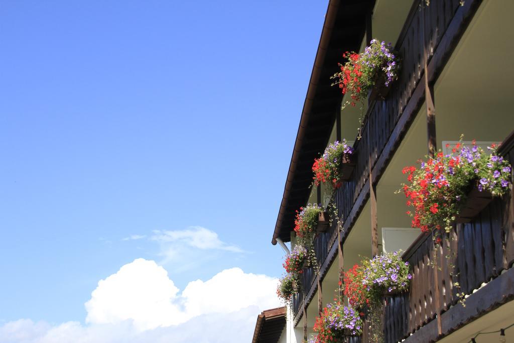 Hotel Alpenblick Berghof Halblech Room photo